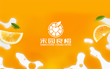 某良橙——抚顺LOGO设计